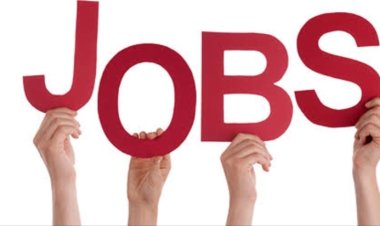 PMSHRI विद्यालयों में संगीत प्रशिक्षकों की भर्ती, 10 सितंबर तक आवेदन आमंत्रित