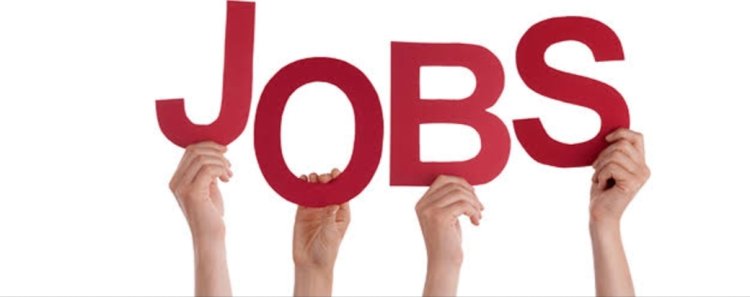 PMSHRI विद्यालयों में संगीत प्रशिक्षकों की भर्ती, 10 सितंबर तक आवेदन आमंत्रित