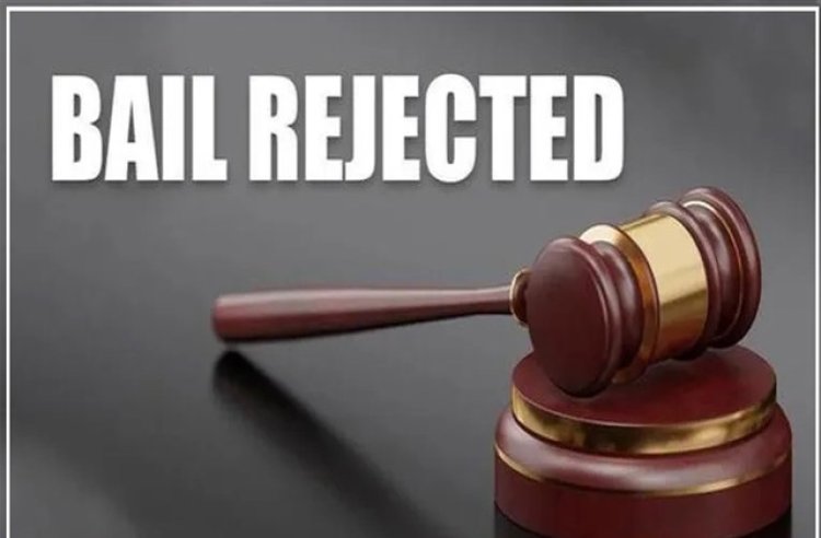 पीपल वृक्ष काटने के मामले में आरोपी की जमानत याचिका खारिज — अब हाईकोर्ट में करेंगे अपील