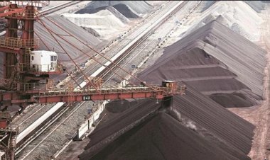 साल्हेवारा–छुईखदान क्षेत्र खनन गतिविधियों का नया केंद्र: नचनिया, भाजीडोंगरी और जगमड़वा–हनाईबन–मरदकठेरा तीनों ब्लॉकों की नीलामी पूरी